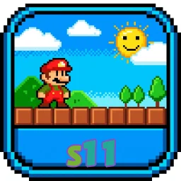 s11