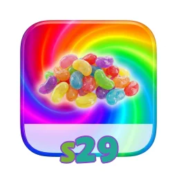 s29